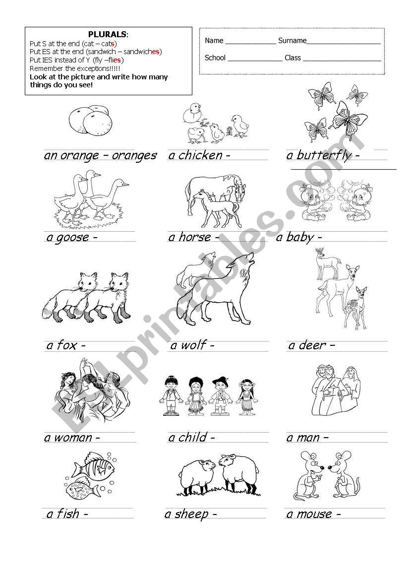 Simple exercise on IRREGULAR PLURALS