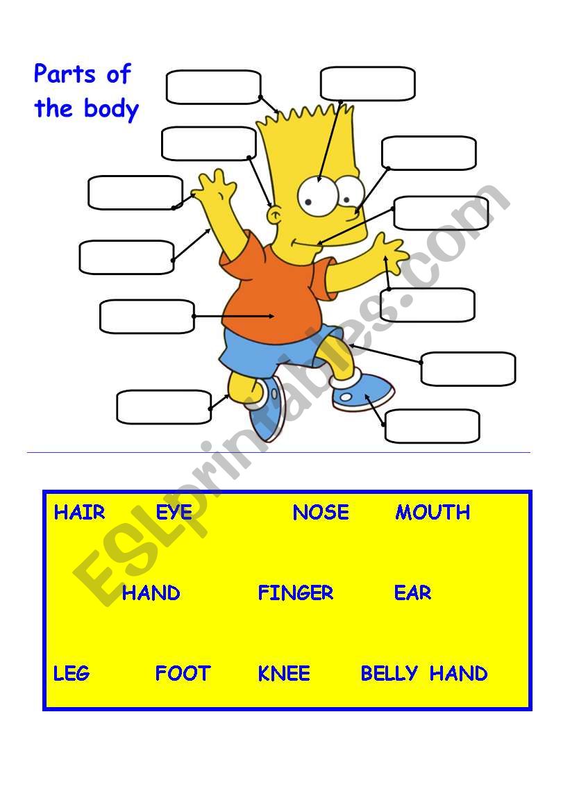 PARTS OF THE BODY worksheet