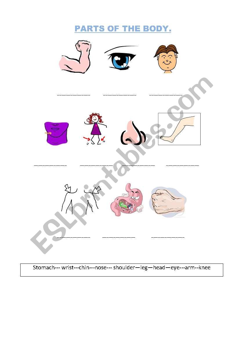 Parts of hte body. worksheet