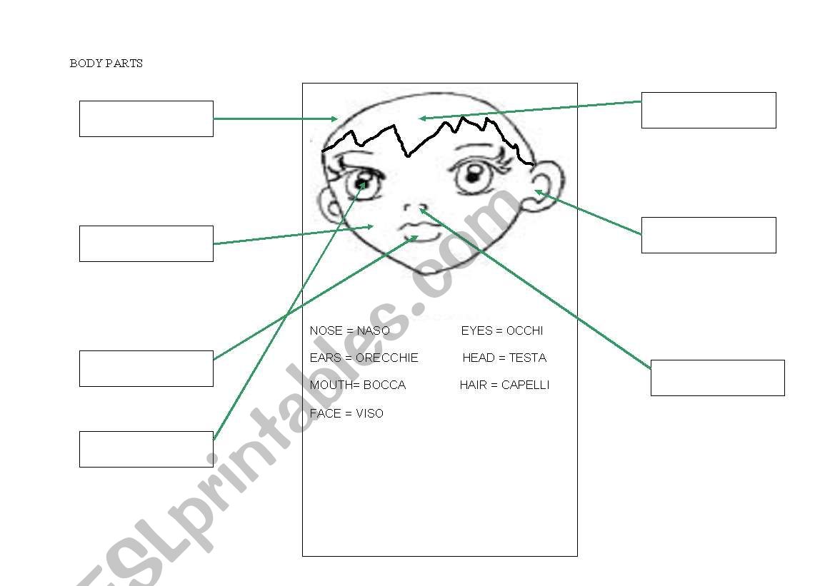 face worksheet