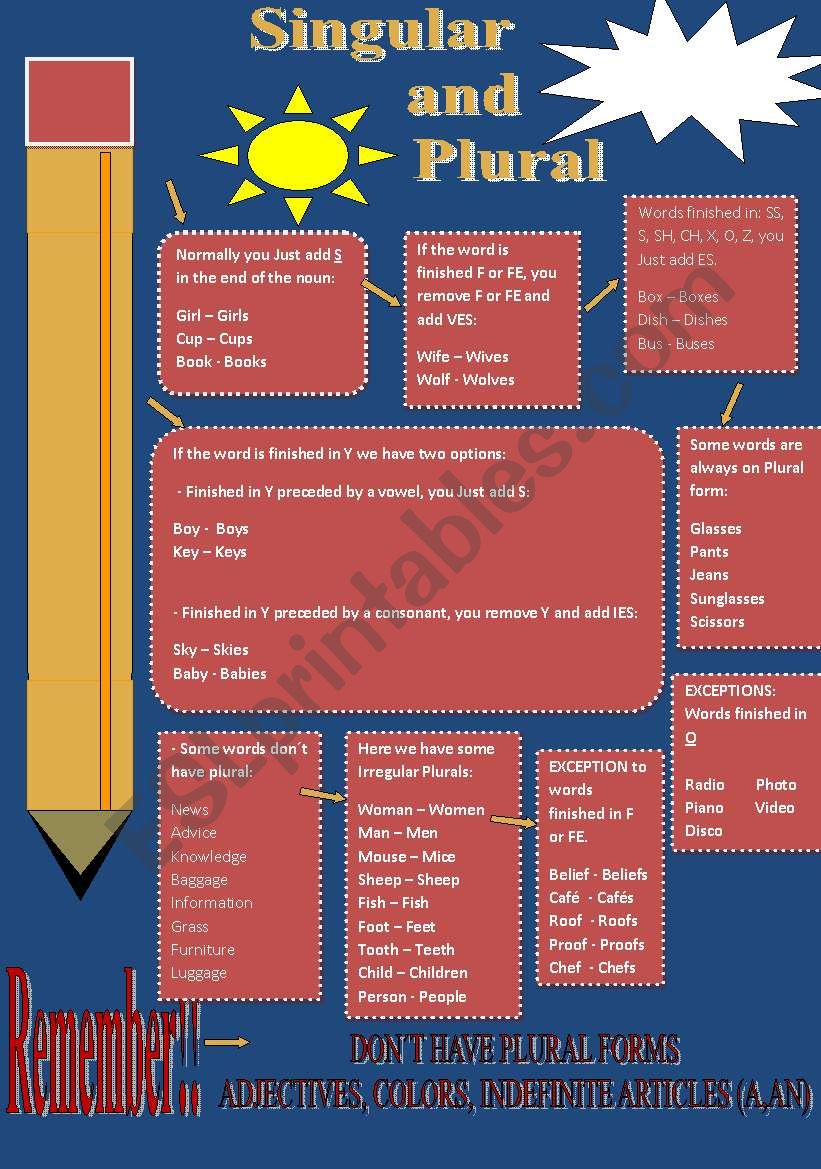 Singular and Plural worksheet