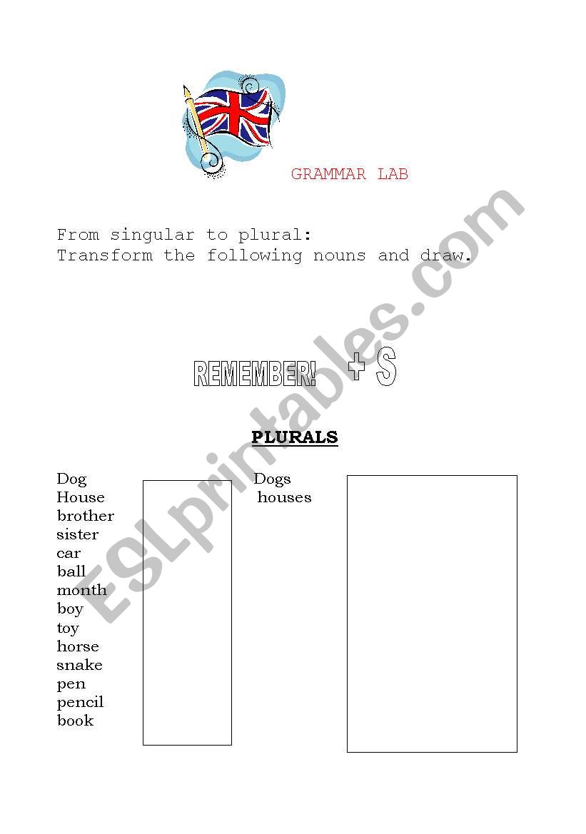 Plurals worksheet