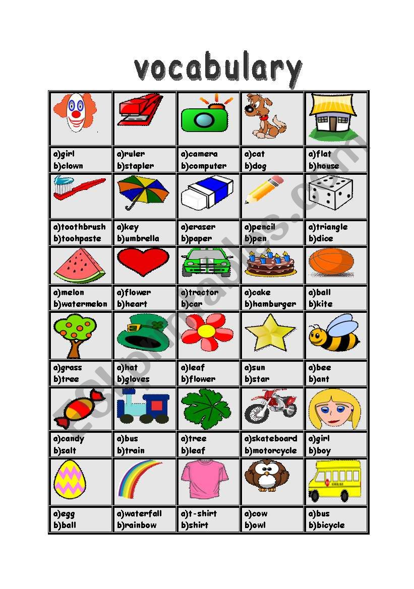 vocabulary worksheet