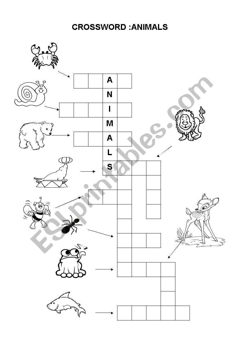 animals worksheet