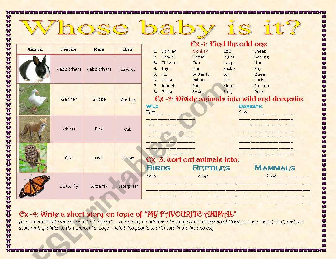 Animal babies worksheet