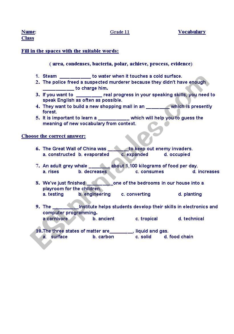 quiz vocabulary worksheet