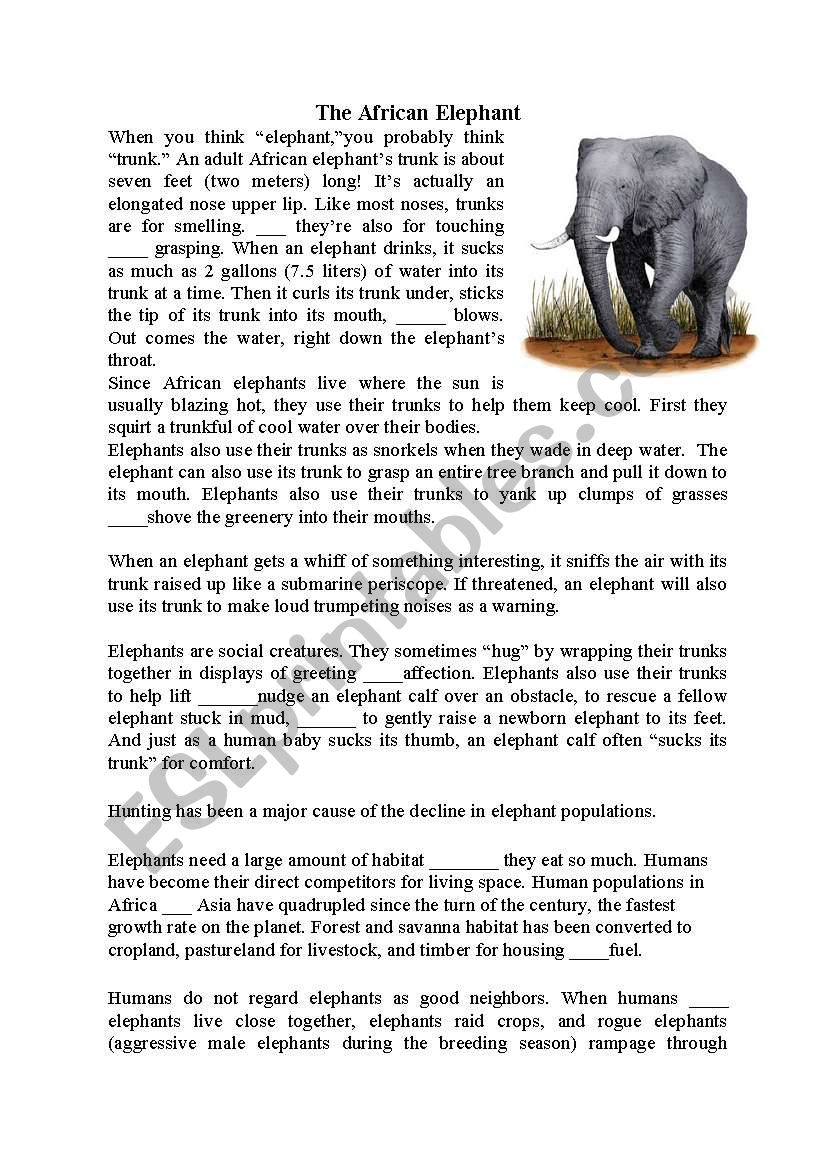 Conjunctions and the african elephant