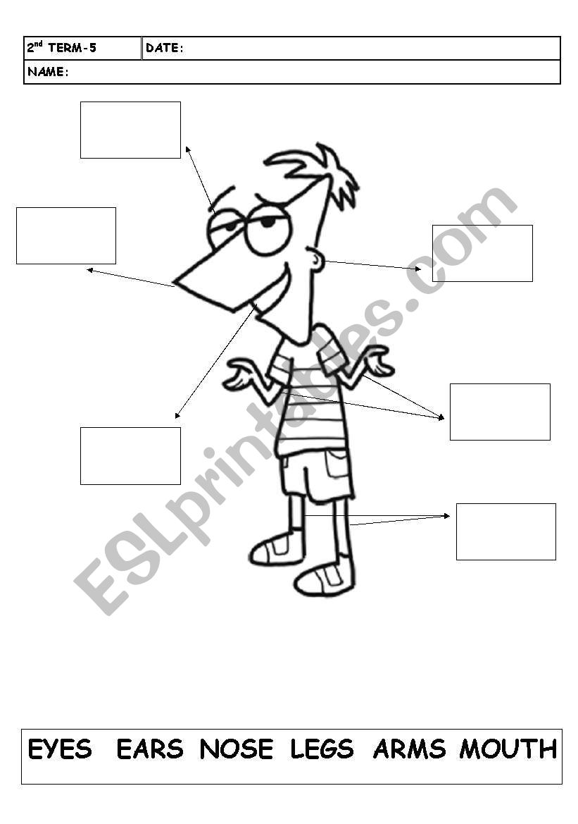 CUT AND PASTE PHINEAS BODY PARTS. ESL worksheet by cristinacarre