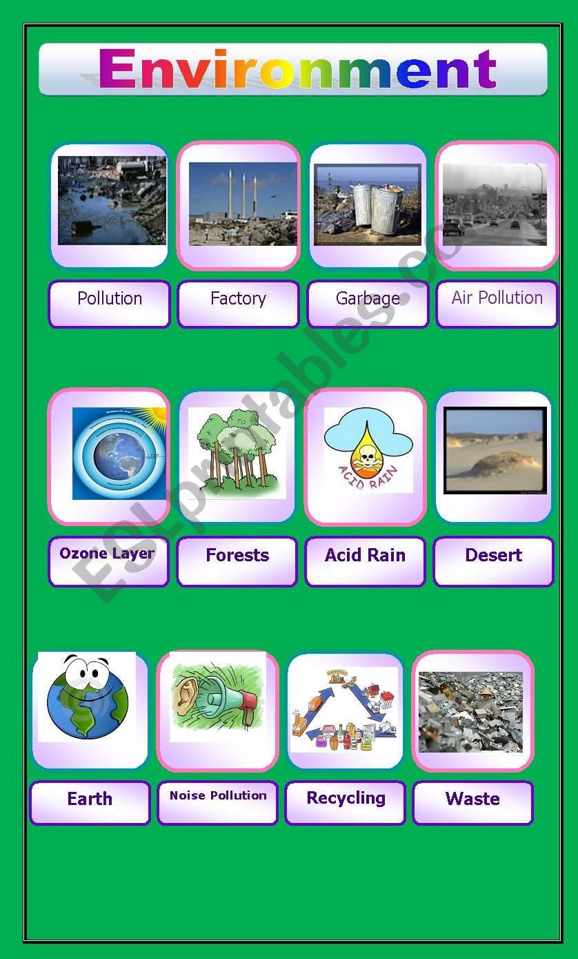 ENVIRONMENT worksheet