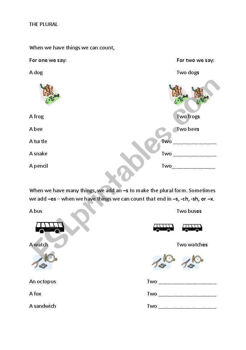 The Plural worksheet