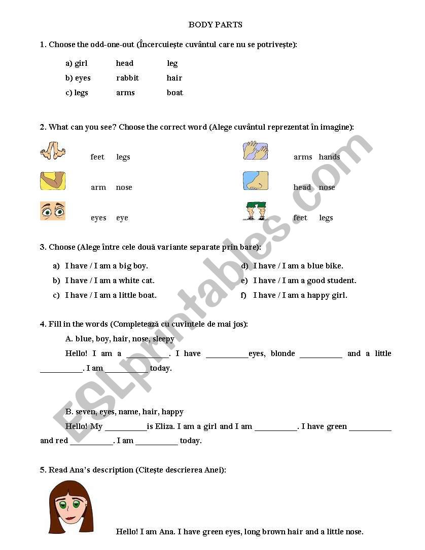 body parts  worksheet