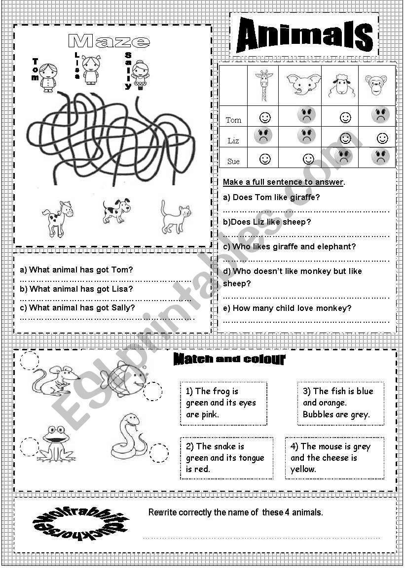 Animals TWO worksheet