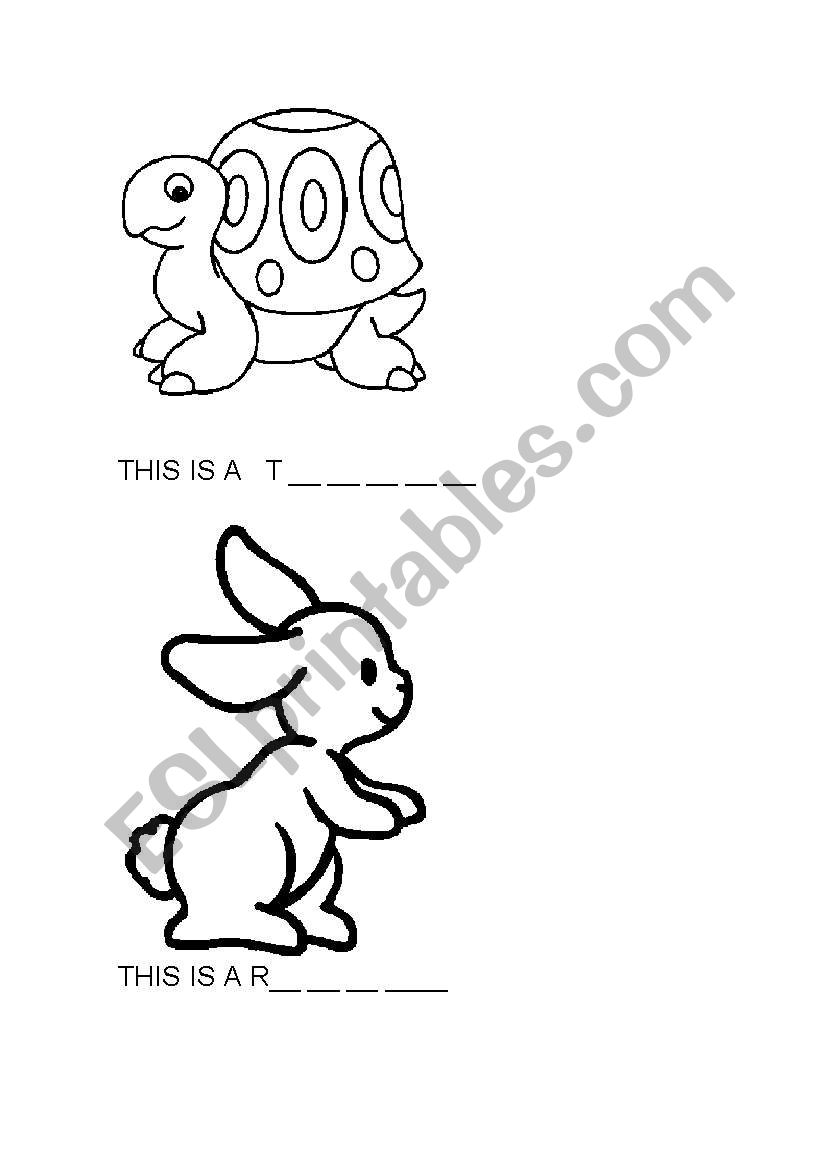 animals  worksheet