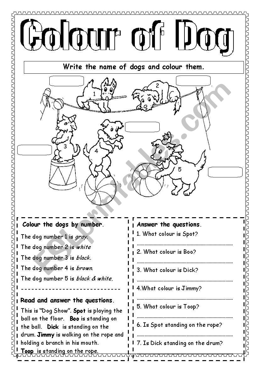 Colour of dogs worksheet