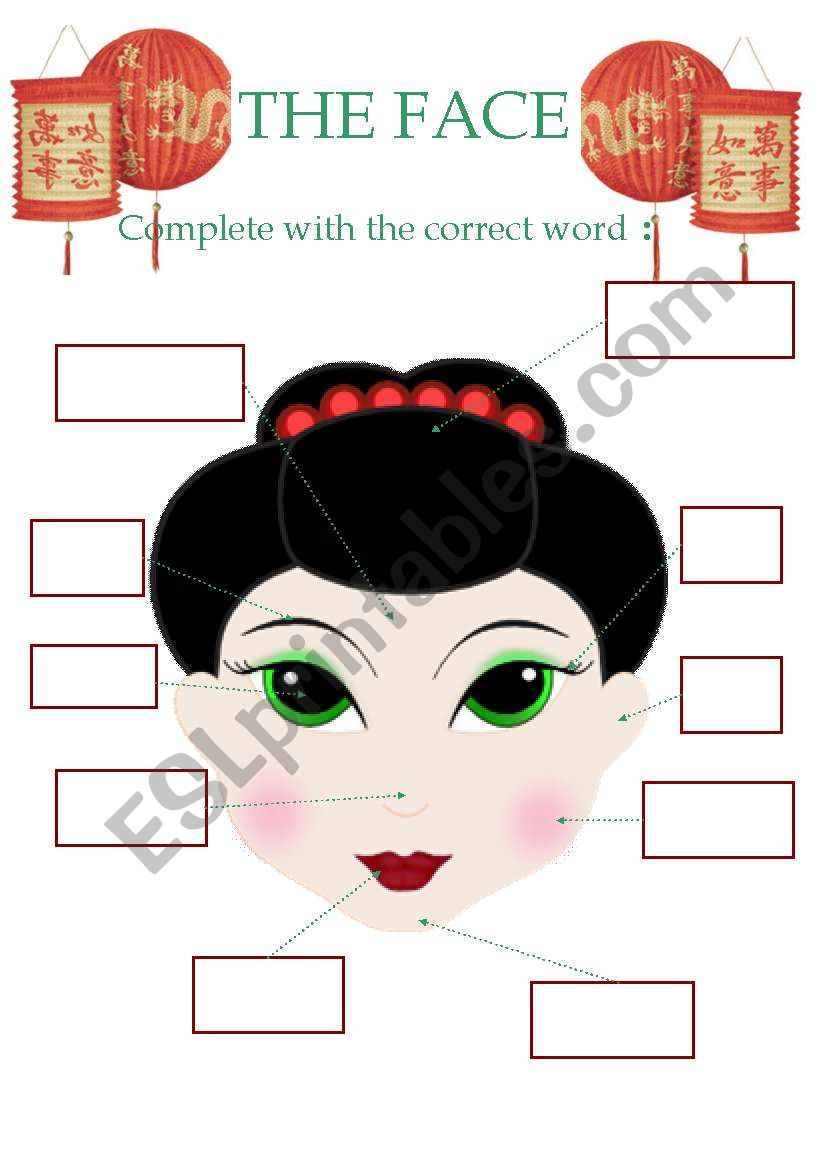 the face worksheet