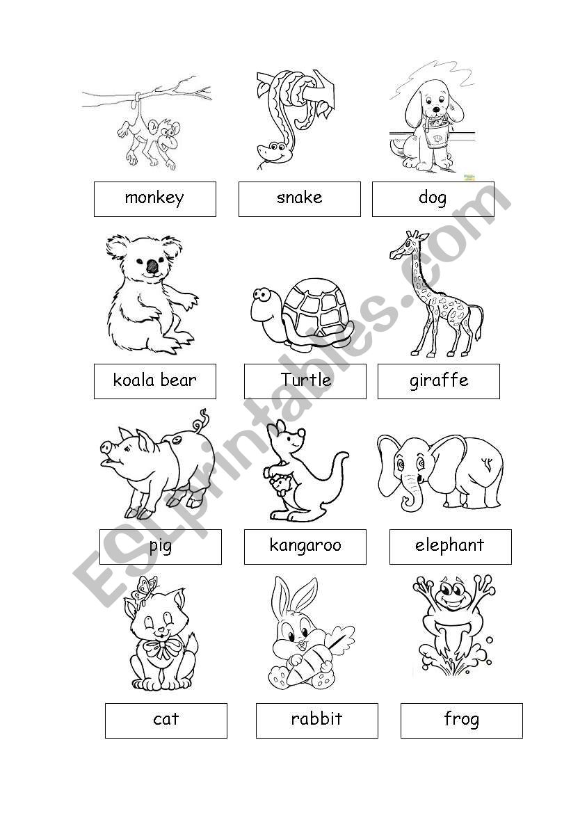 Animals1 worksheet