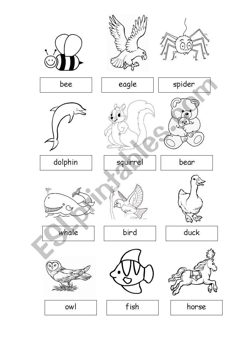 Animals2 worksheet