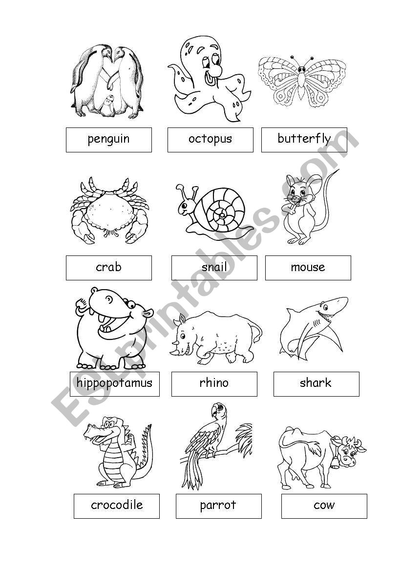 Animals3 worksheet