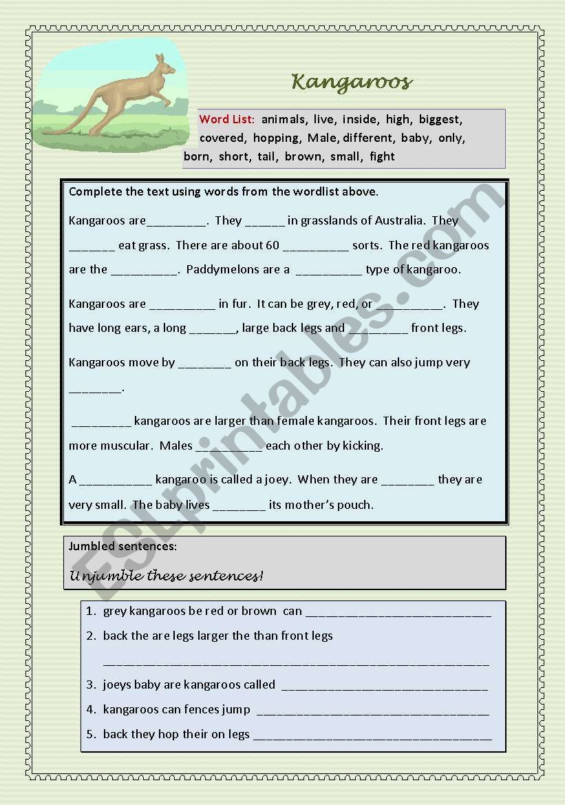 Kangaroos - cloze exercise and jumbled sentences - worksheet