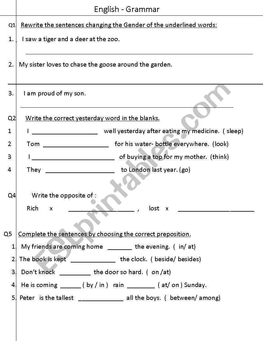 English Grammar worksheet