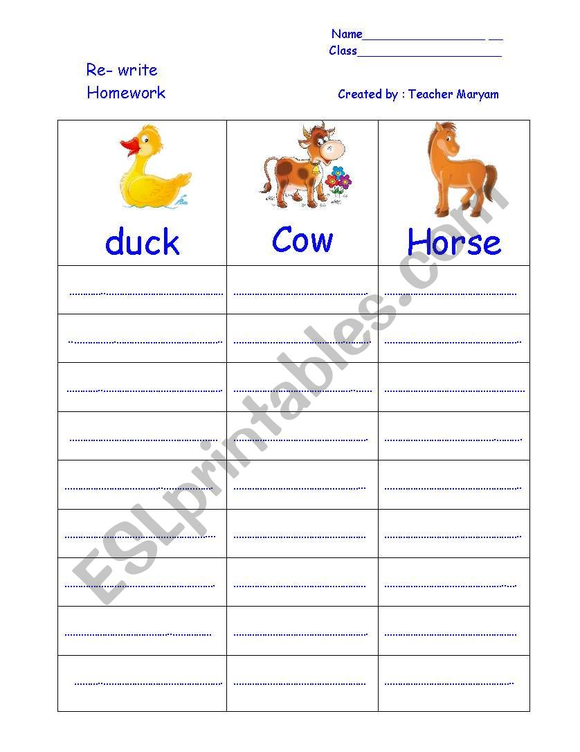 animals  worksheet