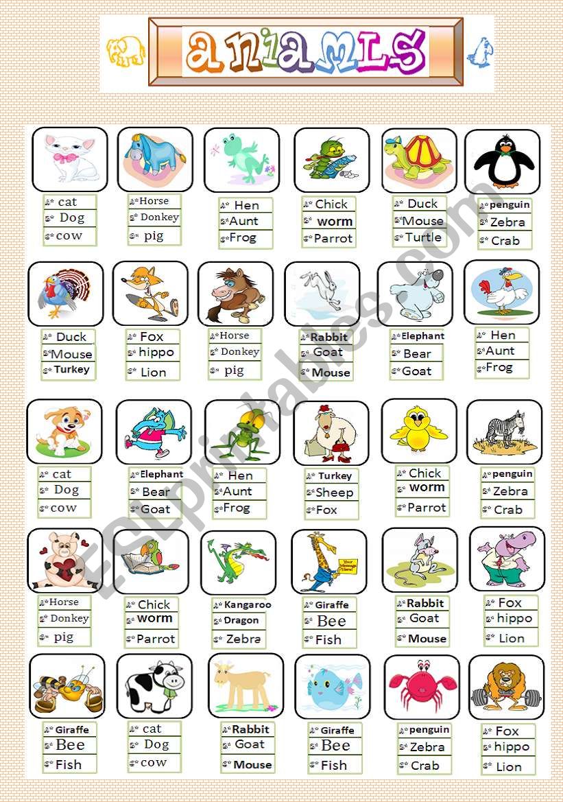 Animals worksheet