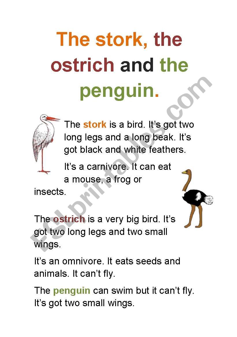 The stork, the ostrich and the penguin.