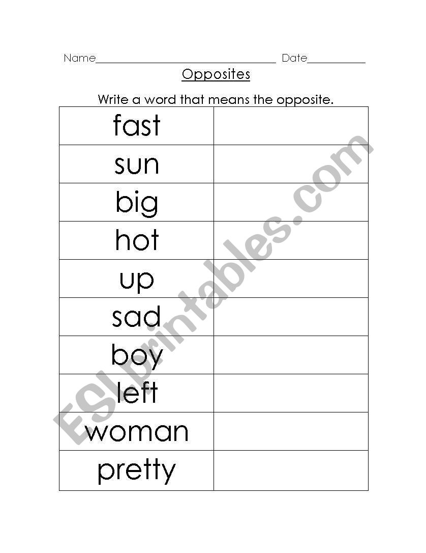 Opposites worksheet worksheet