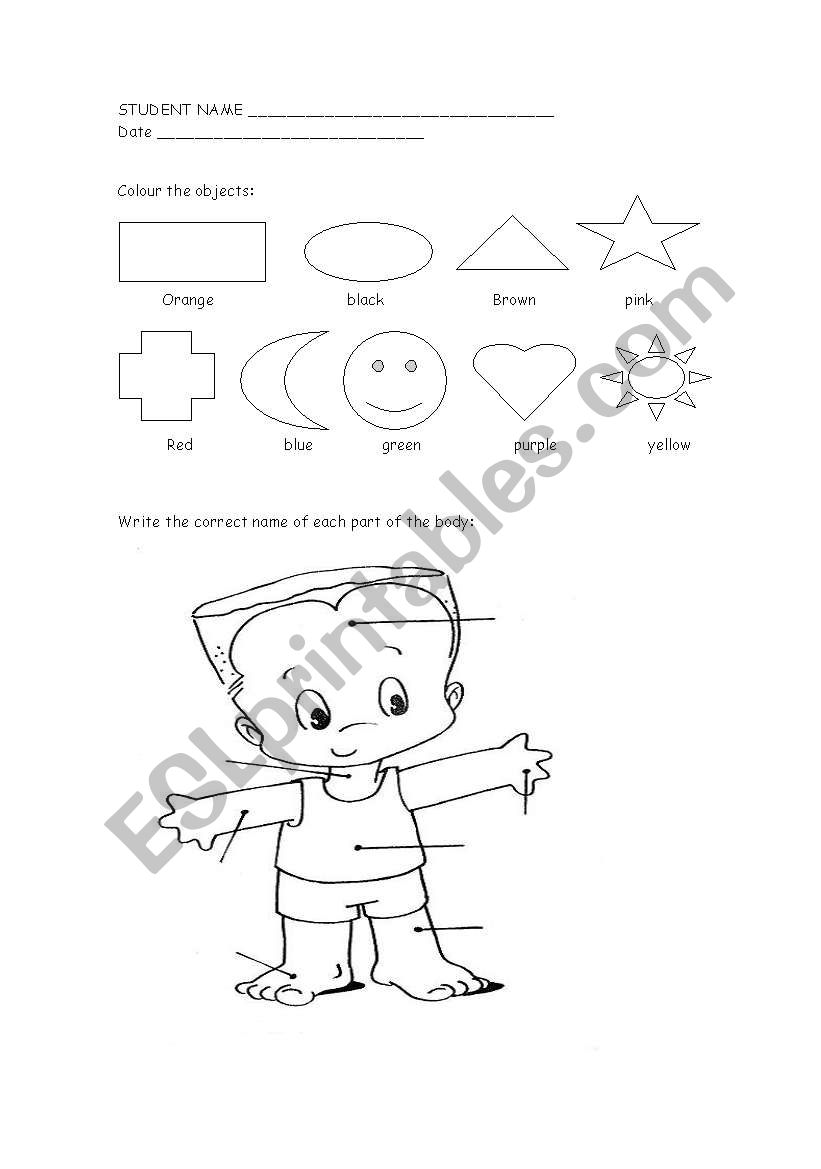 colours and body parts worksheet