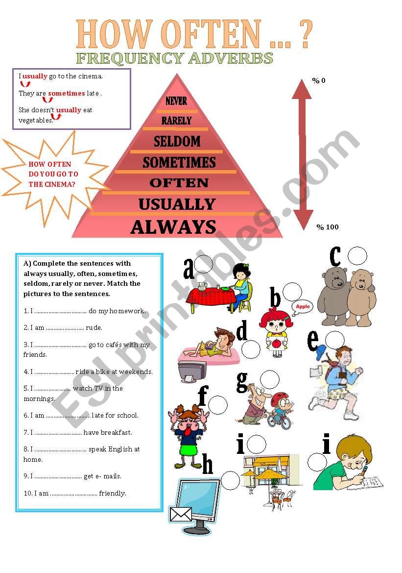 Adverbs of frequency worksheet