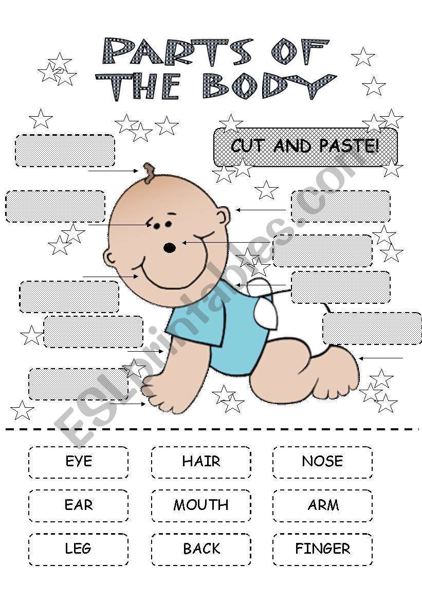 Body parts worksheet