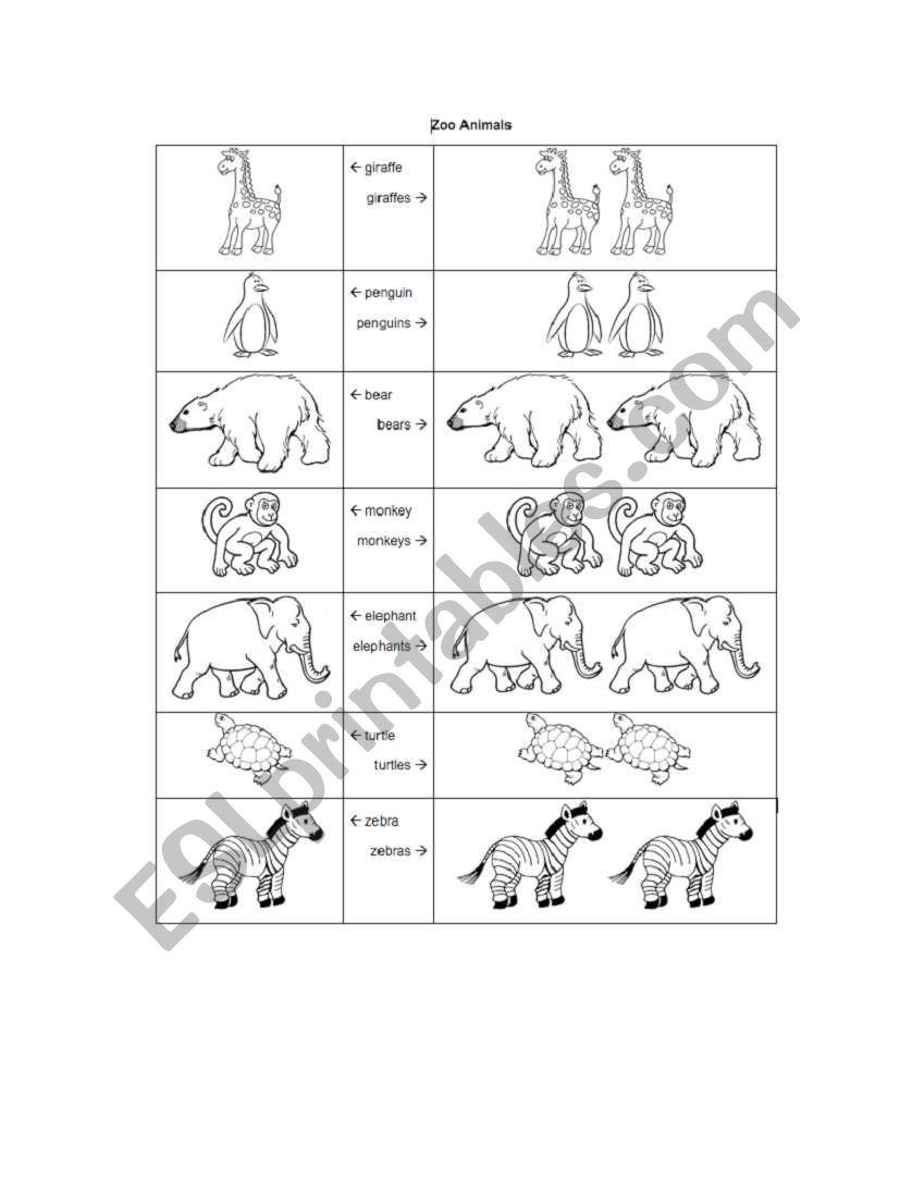 Singular and Plural Zoo Animals