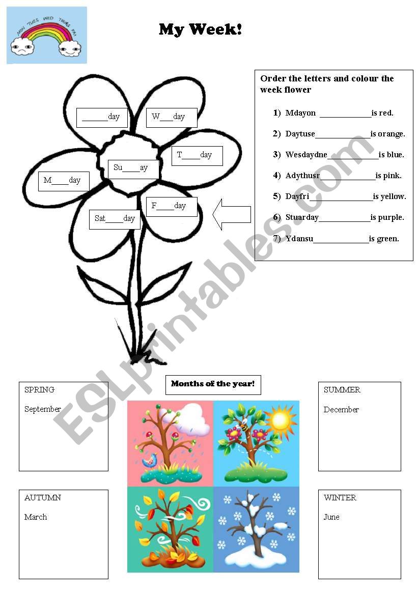 My week, seasons and months worksheet