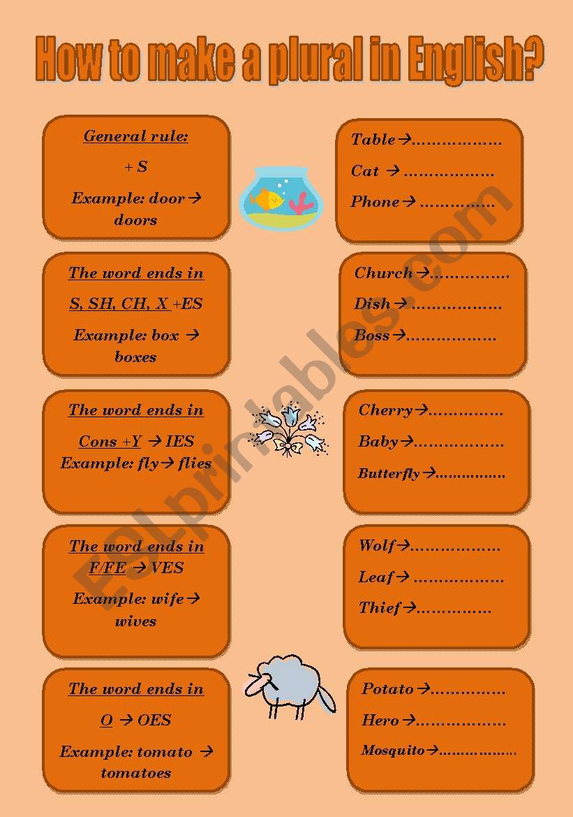 how-to-form-plurals-in-english-esl-worksheet-by-petite-maman