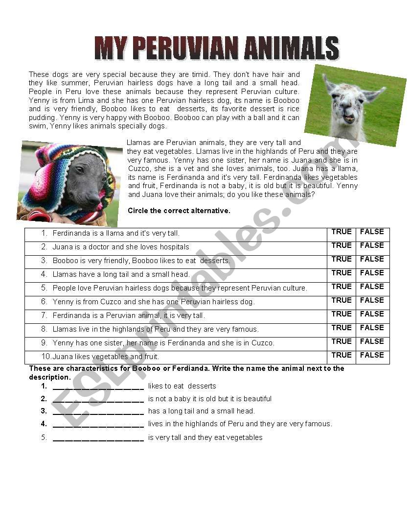 PERUVIAN HAIRLESS DOG worksheet