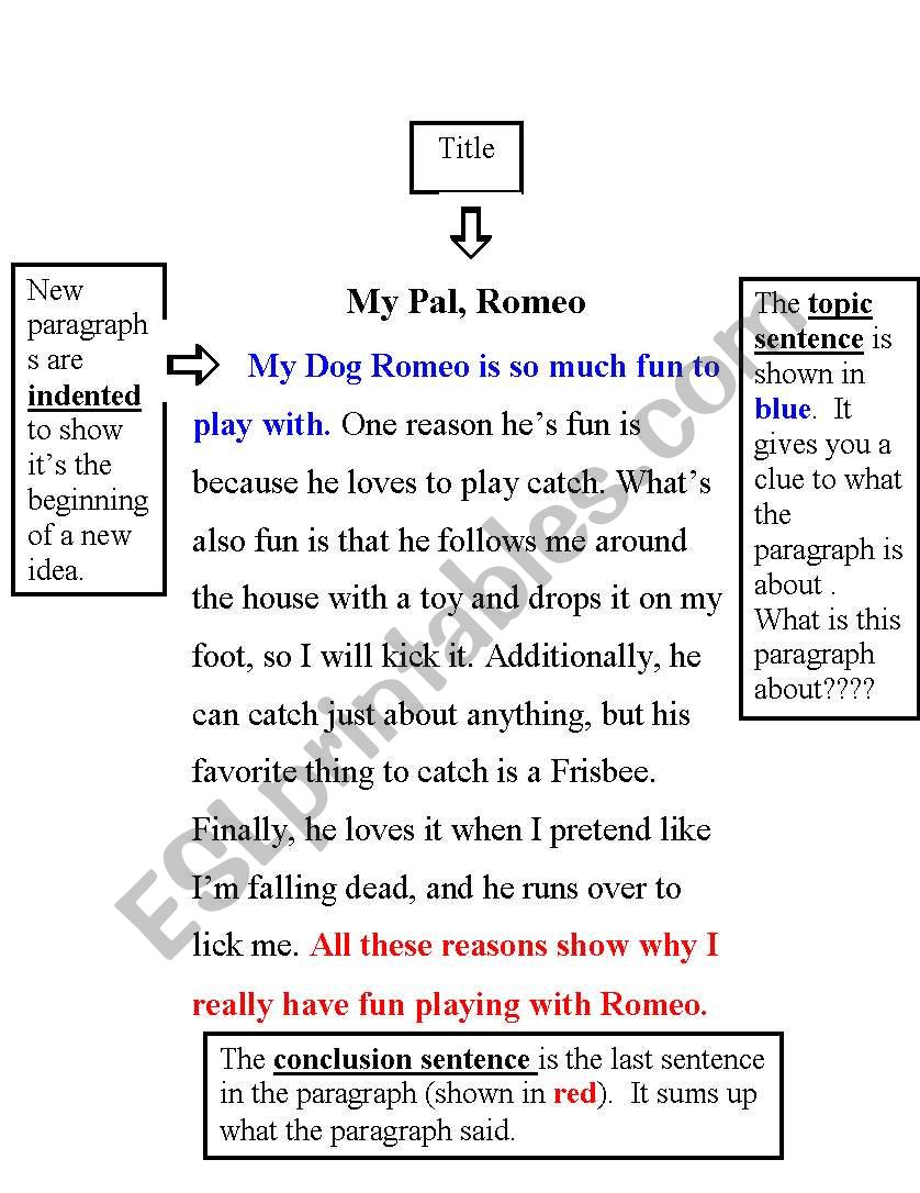 Paragraph Text Features worksheet