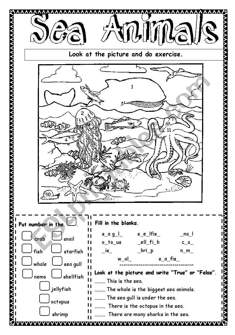 Sea animals worksheet