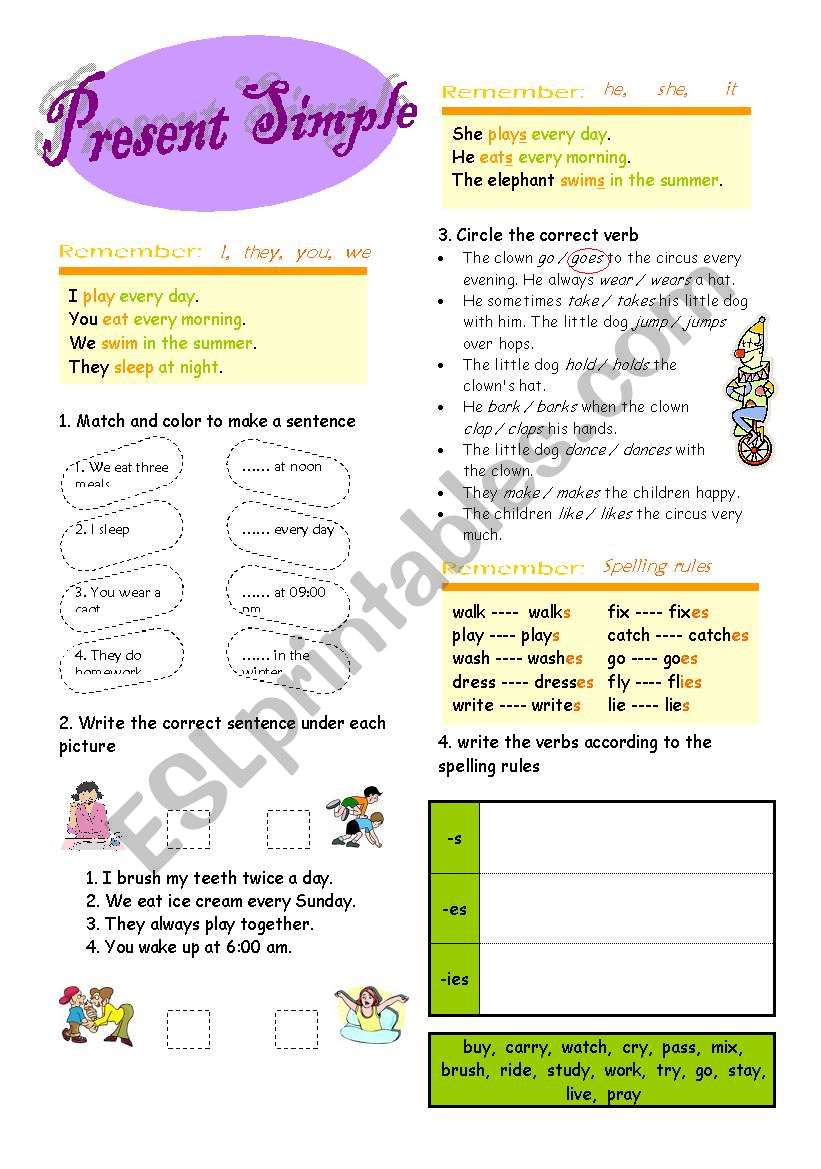 present simple worksheet