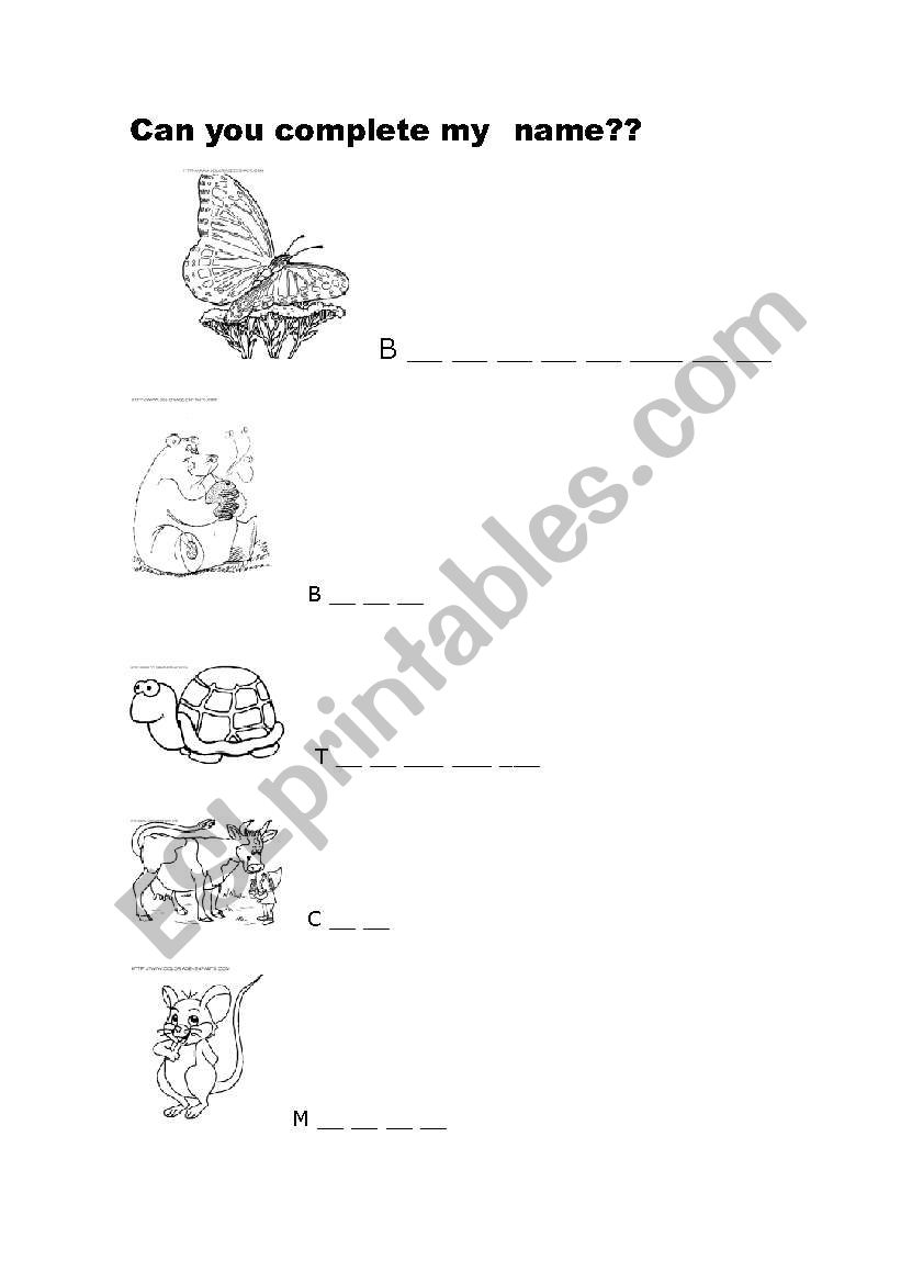 animals worksheet