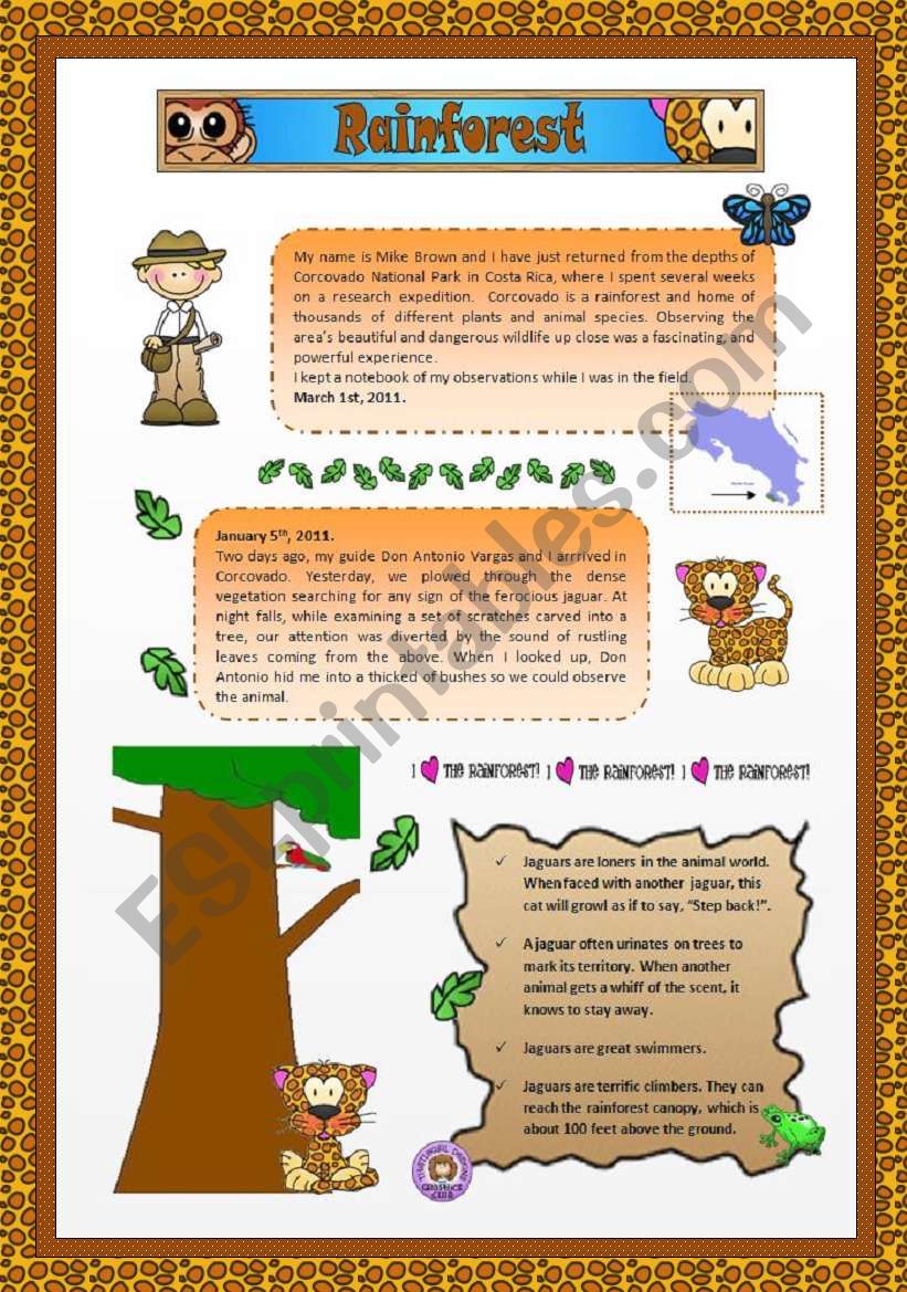 Rainforest  worksheet