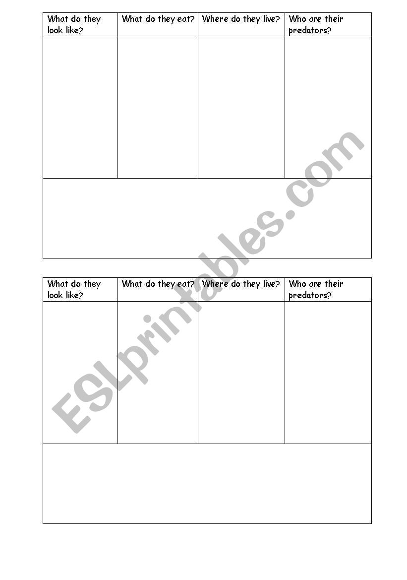 snail report worksheet