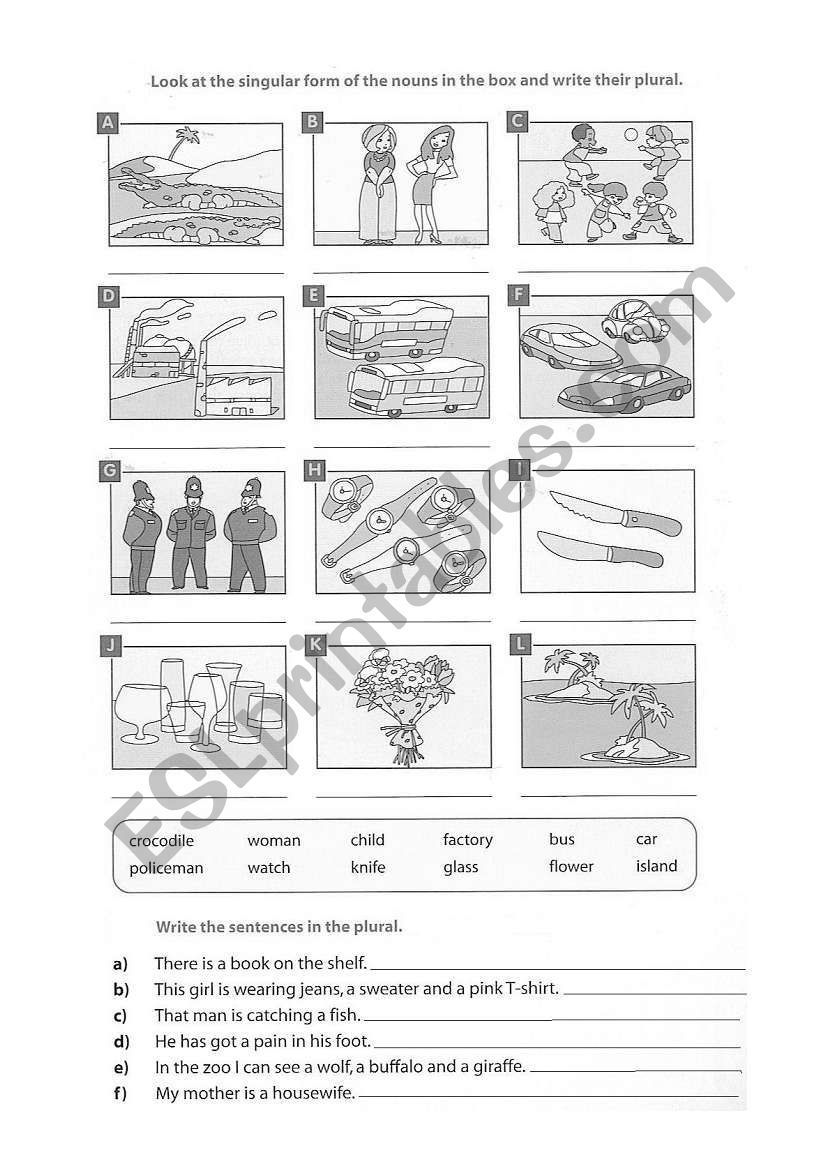 Plural worksheet