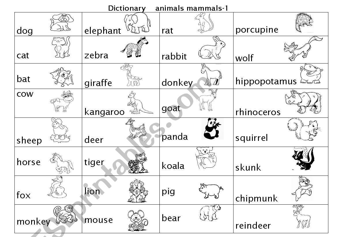 animal (mammals) pictures worksheet