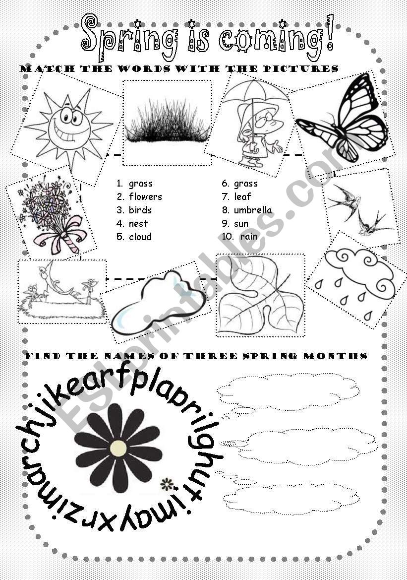 spring worksheet worksheet