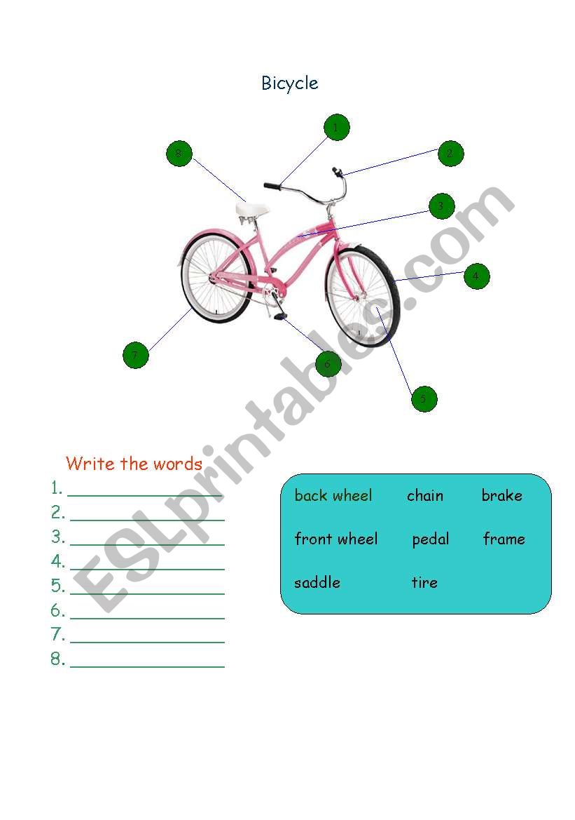 transport worksheet