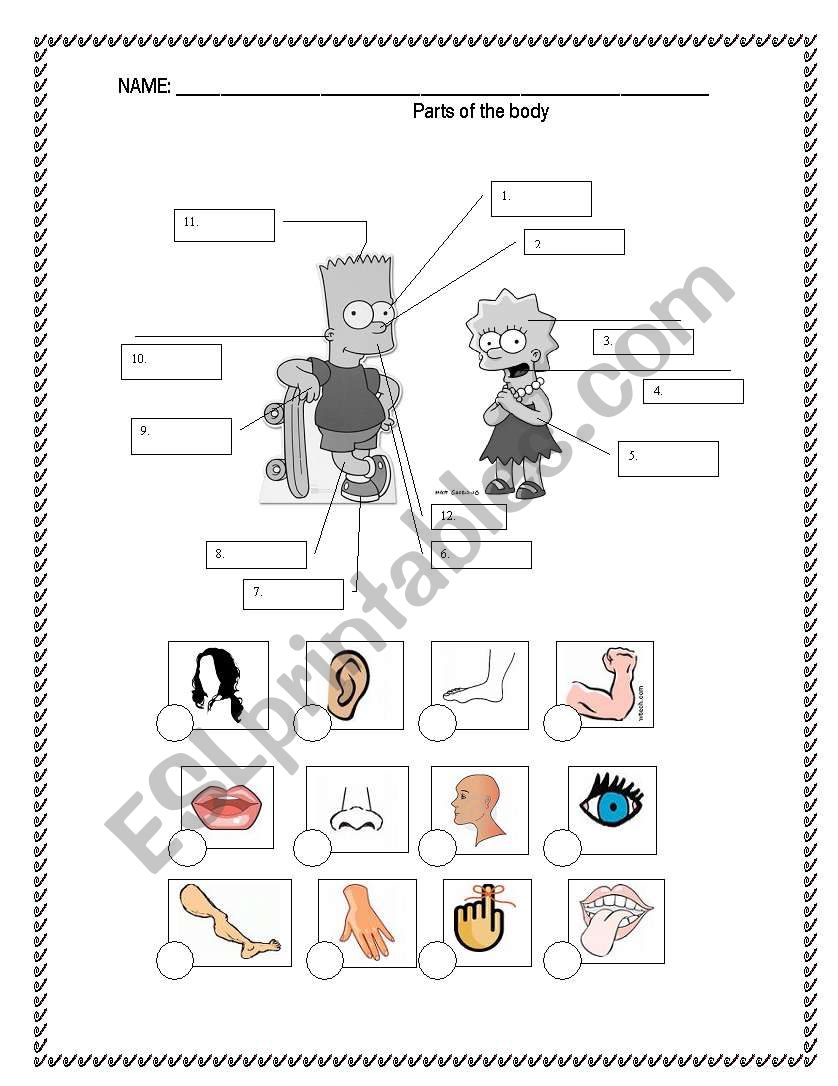 Body parts worksheet