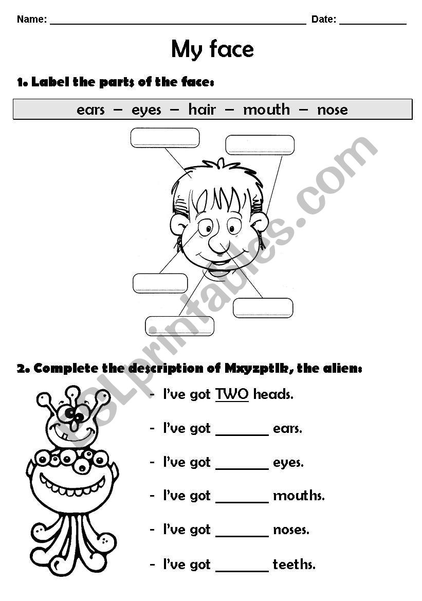 My face worksheet