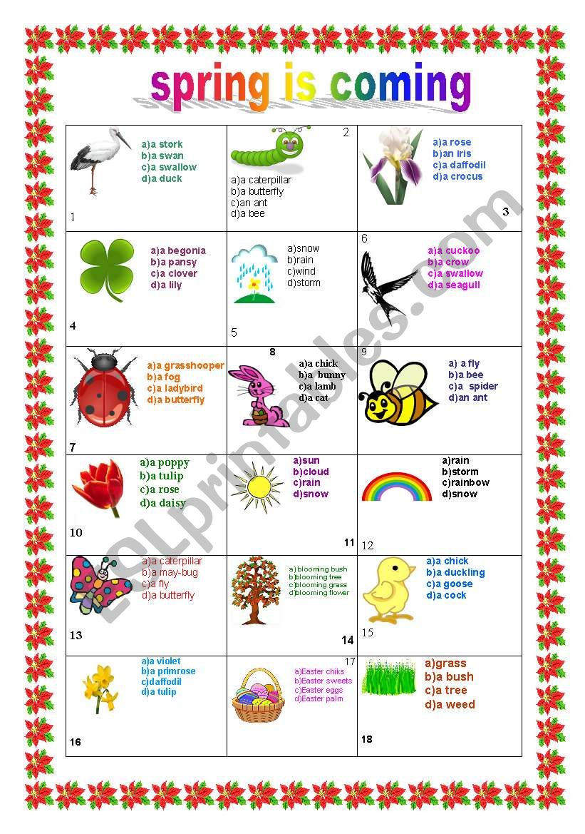 SPRING    picture test +KEY  worksheet