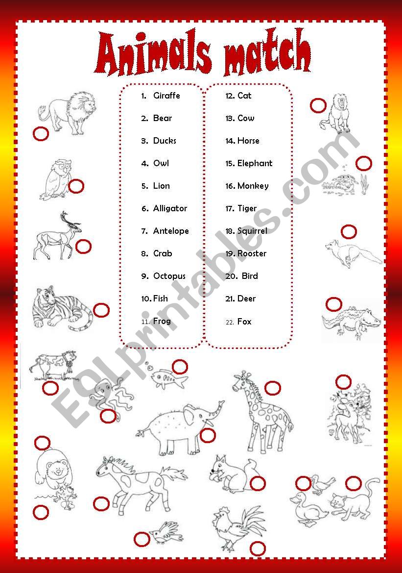 Animals match worksheet