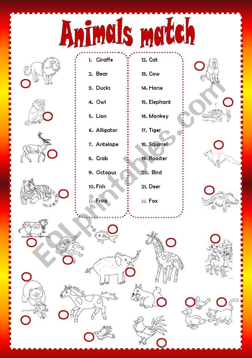 Animals match worksheet